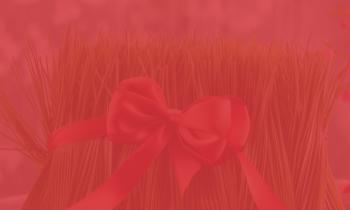 NOWROOZ CELEBRATION-04.jpg.jpeg