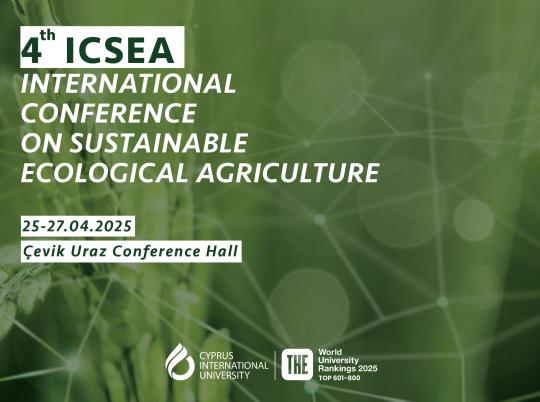 ciu-icsea-conference-webK